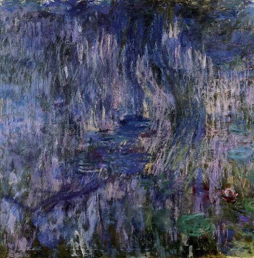 Monet reflections of weeping.jpg